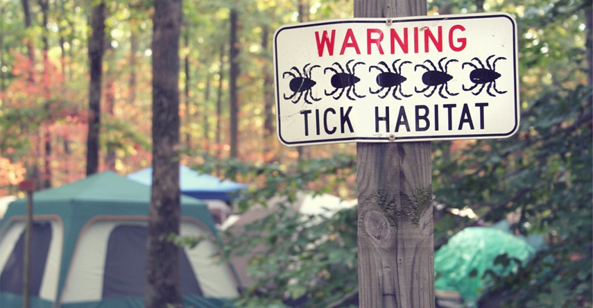 how to protect yourself against lyme disease