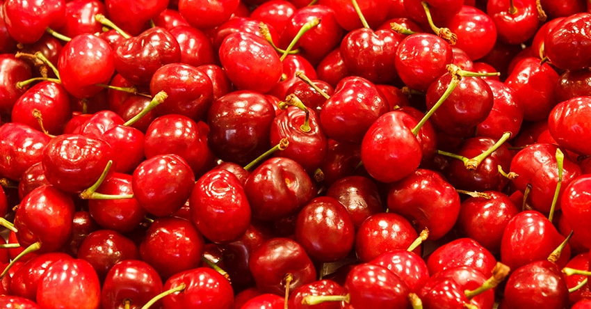 tart cherry juice health benefits