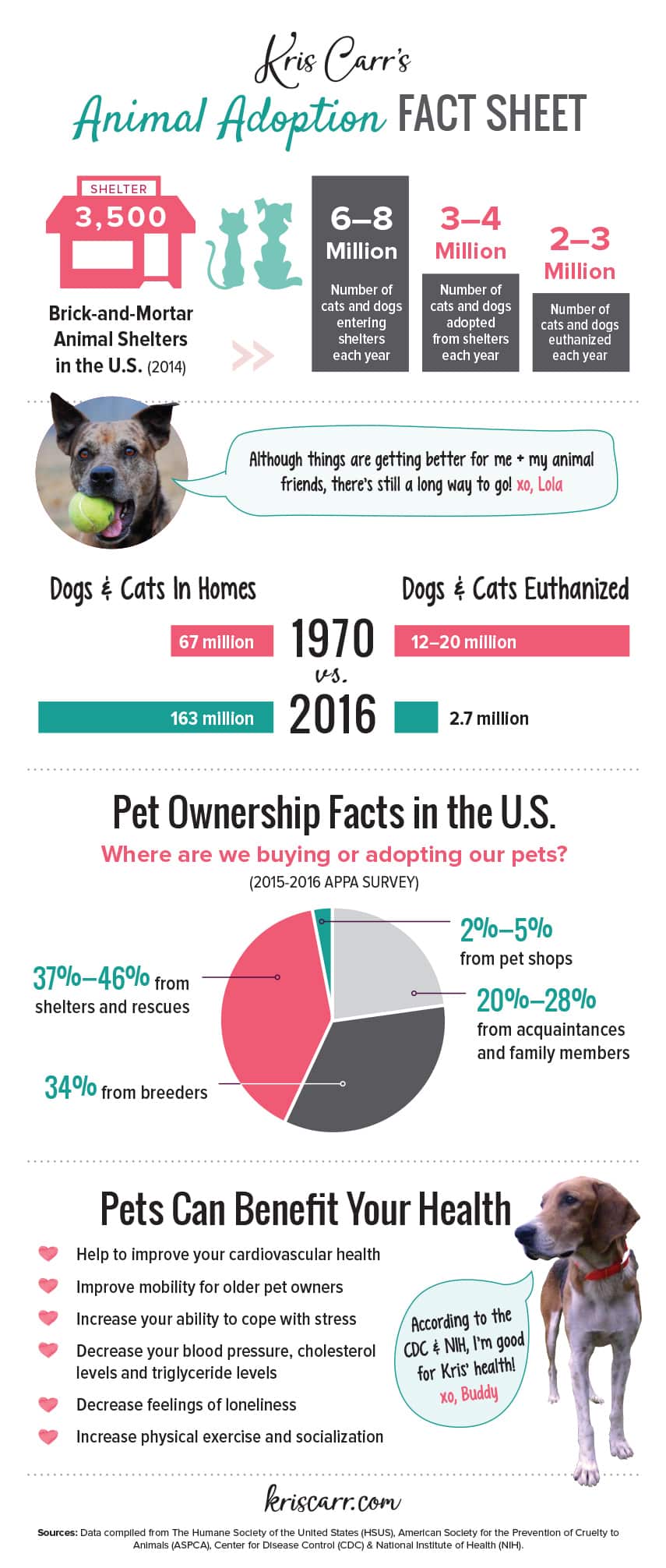Animal Adoption Fact Sheet