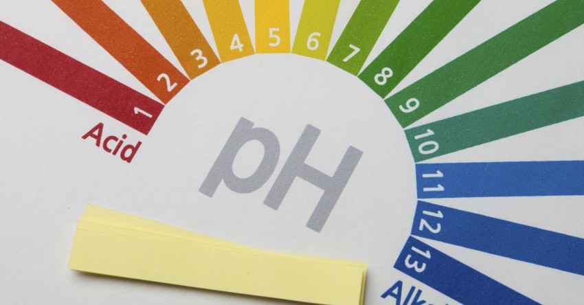 pH 101: Acid-Alkaline Balance & Your Health 