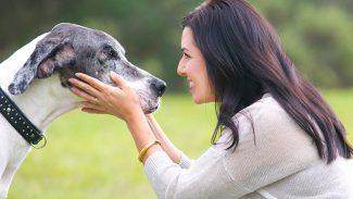 Calming Techniques for Anxious Dogs 