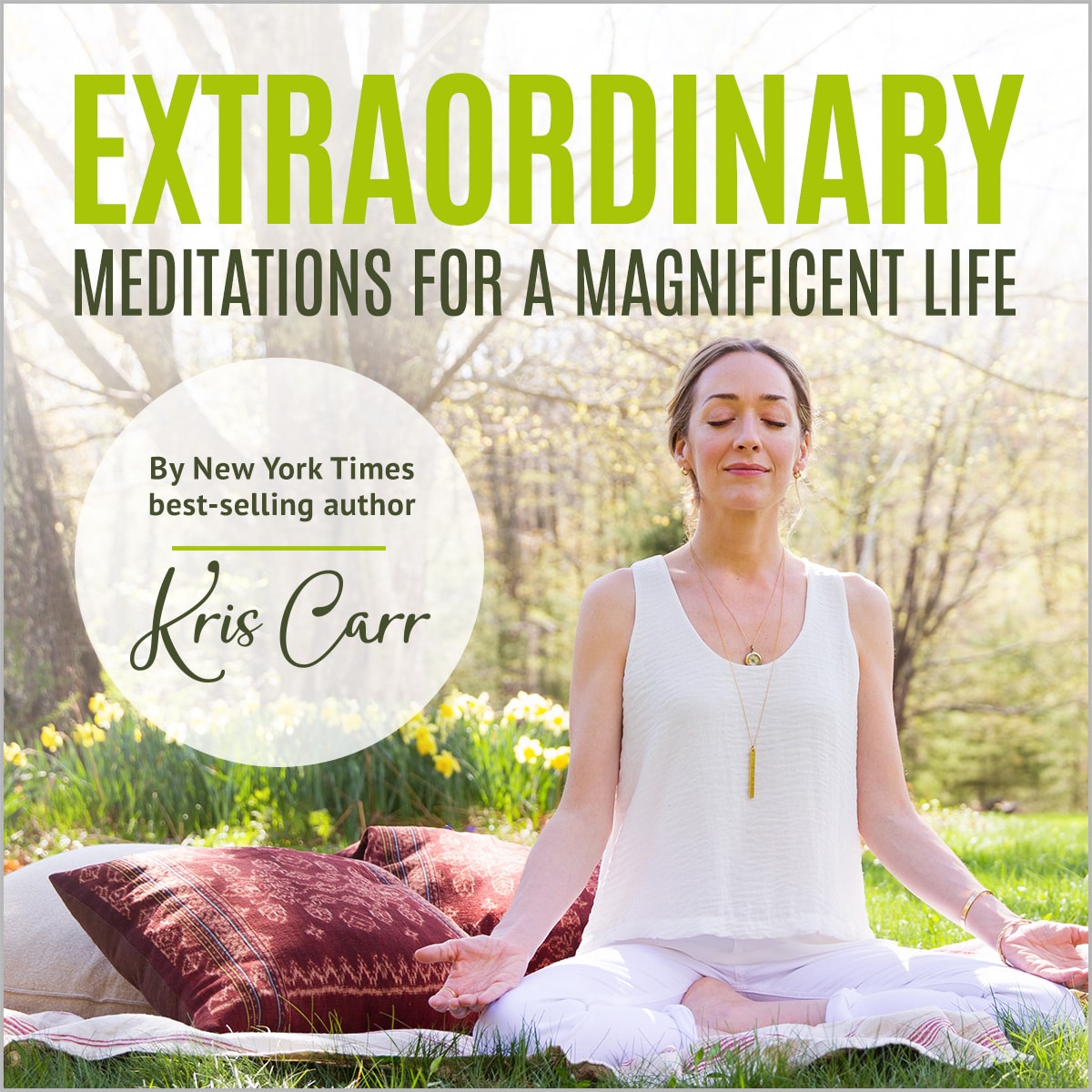 Extraordinary Meditations Album