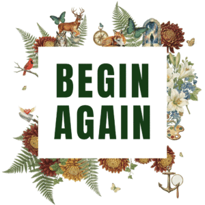 Begin Again